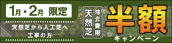 天然芝処理半額